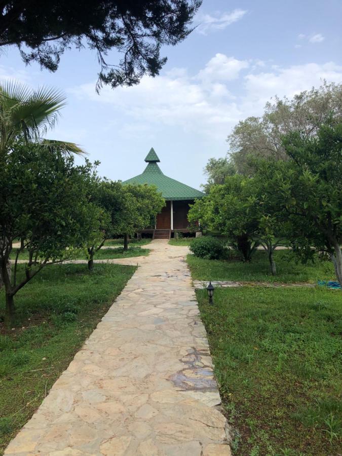 Cirali Armira Bungalow Ngoại thất bức ảnh
