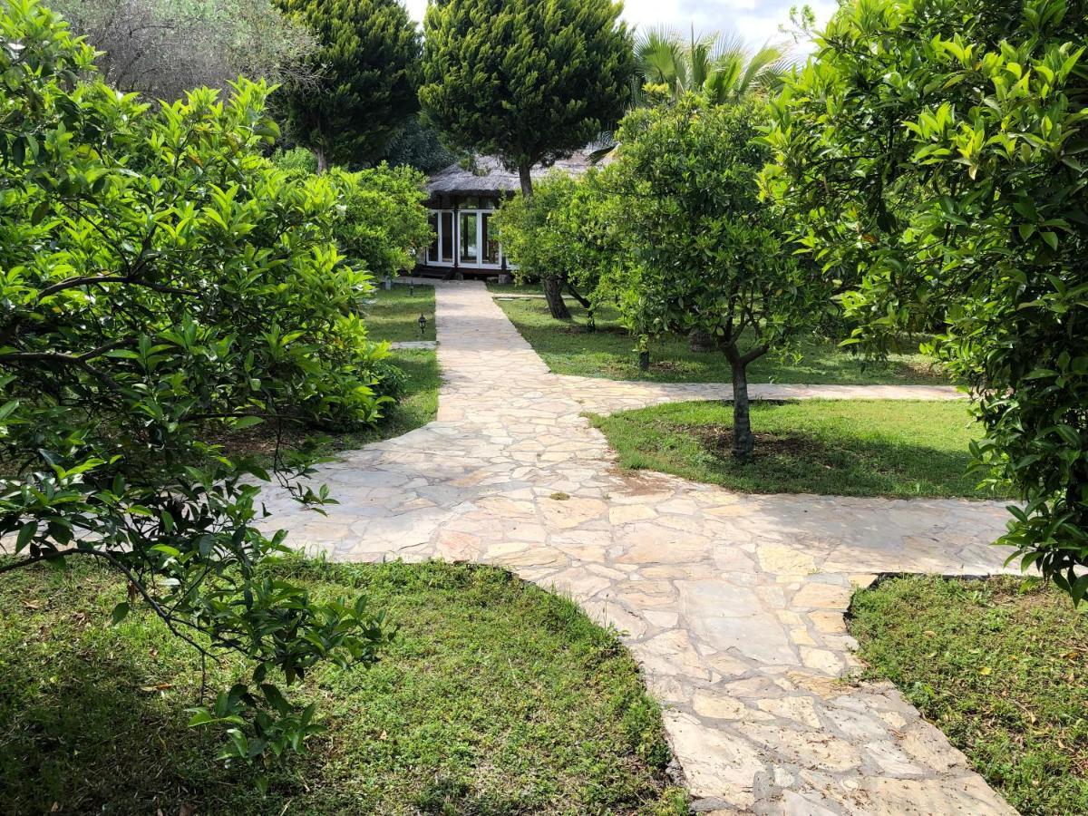 Cirali Armira Bungalow Ngoại thất bức ảnh