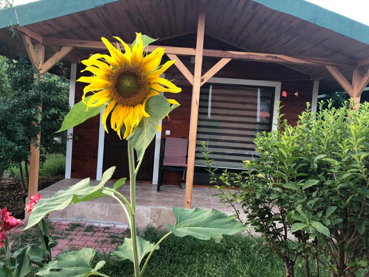 Cirali Armira Bungalow Ngoại thất bức ảnh