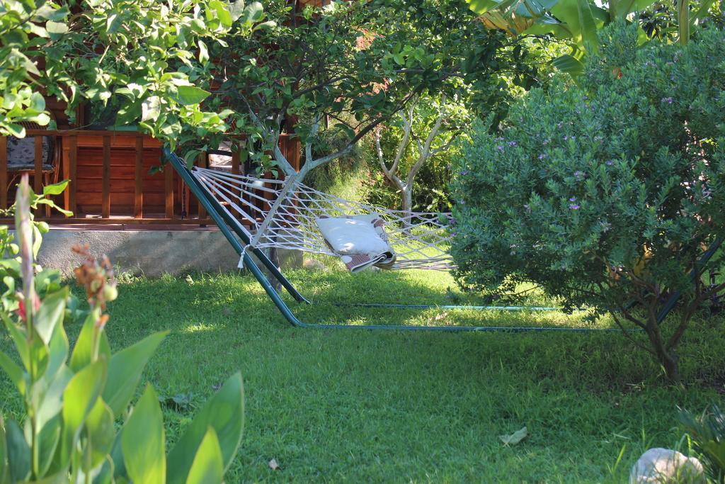 Cirali Armira Bungalow Ngoại thất bức ảnh