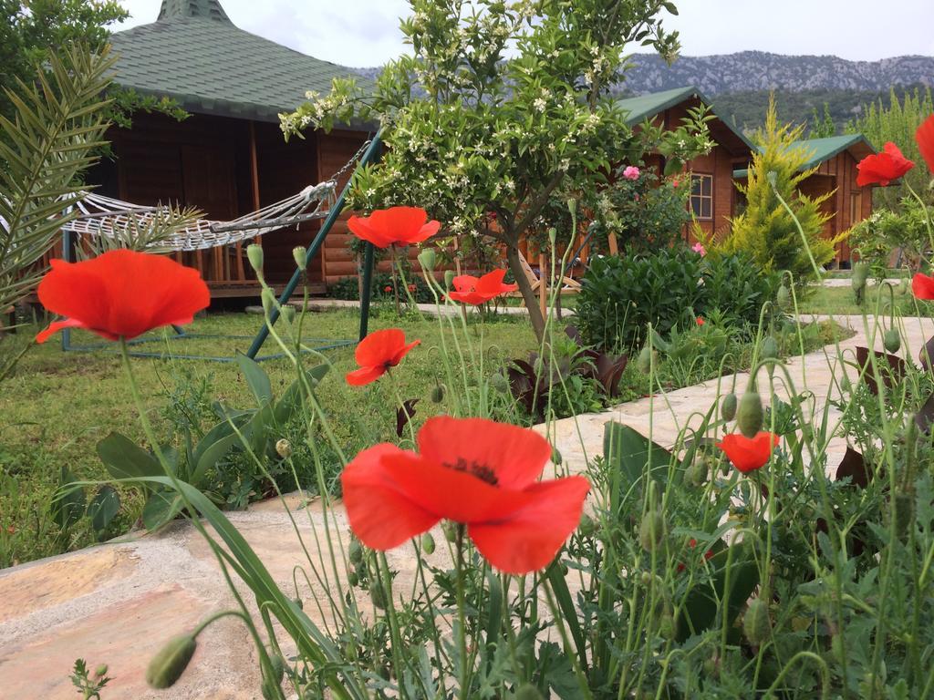 Cirali Armira Bungalow Phòng bức ảnh