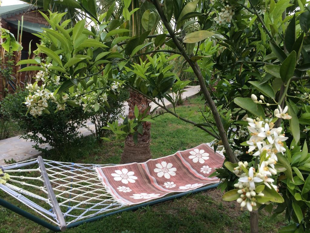 Cirali Armira Bungalow Ngoại thất bức ảnh