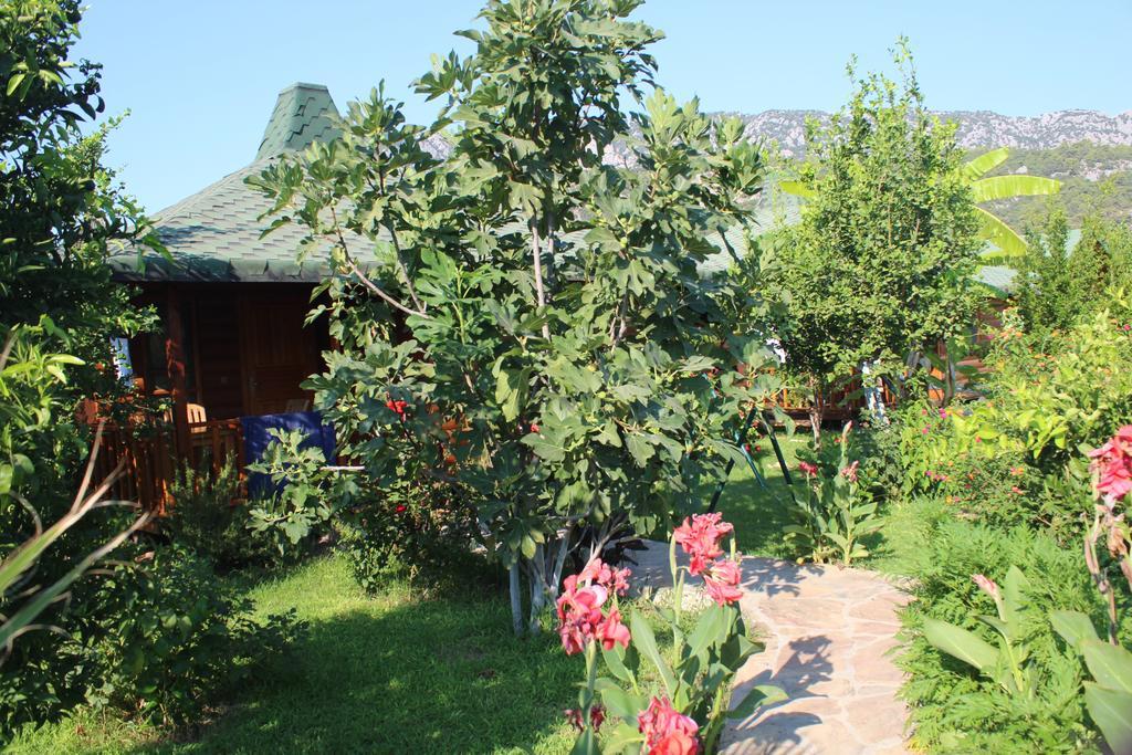 Cirali Armira Bungalow Phòng bức ảnh