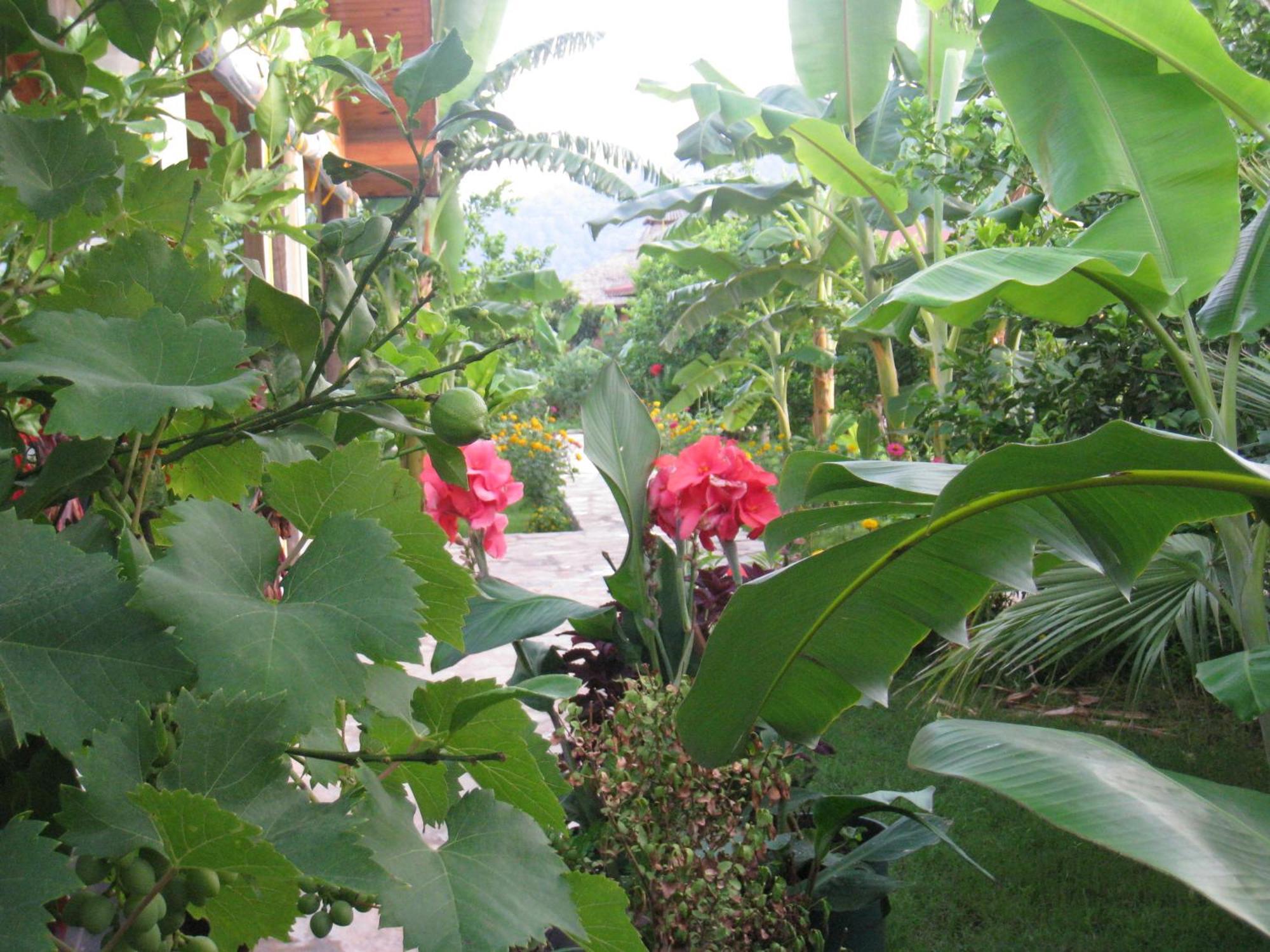 Cirali Armira Bungalow Ngoại thất bức ảnh