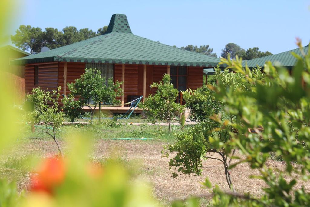 Cirali Armira Bungalow Phòng bức ảnh