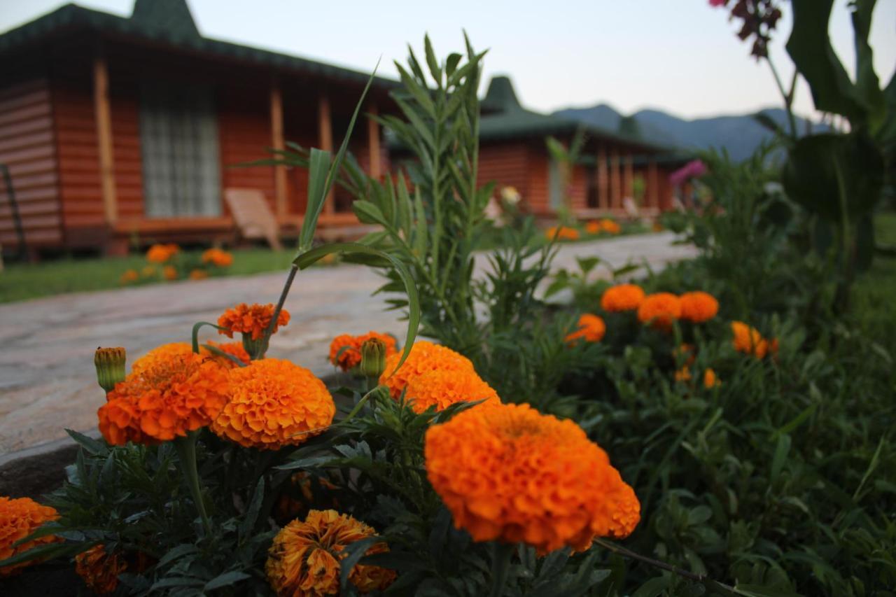 Cirali Armira Bungalow Phòng bức ảnh