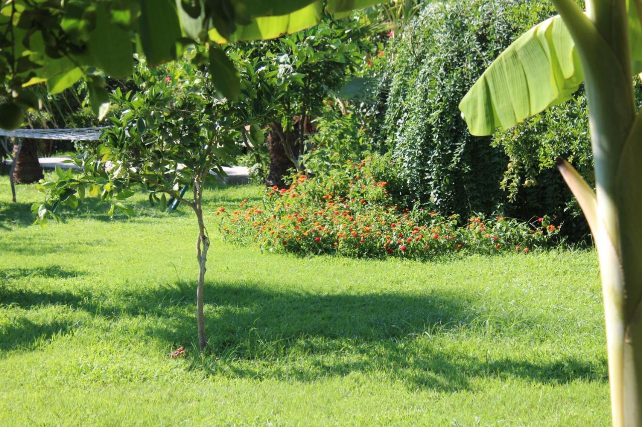 Cirali Armira Bungalow Ngoại thất bức ảnh